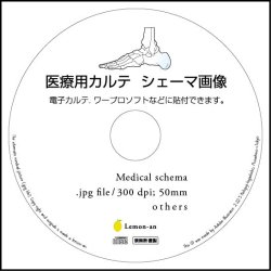 画像1: シェーマ画像-10S. 骨格-1 CD-ROM