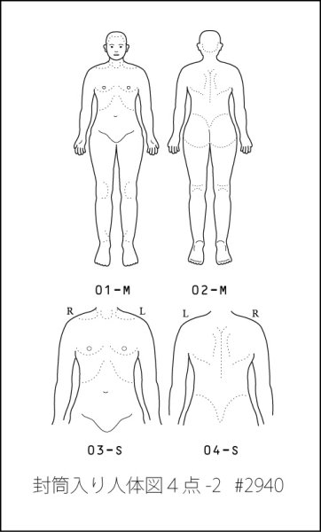 画像1: 人体図袋詰め-2 (1)