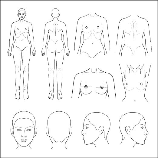 シェーマ画像 10s 婦人科 1 Cd Rom 印章 医療用人体図の檸檬庵